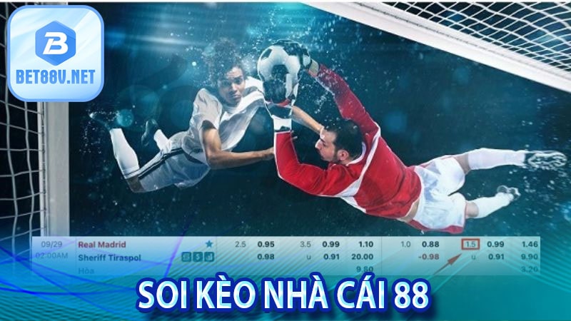 Hướng dẫn anh em Soi kèo nhà cái 88 